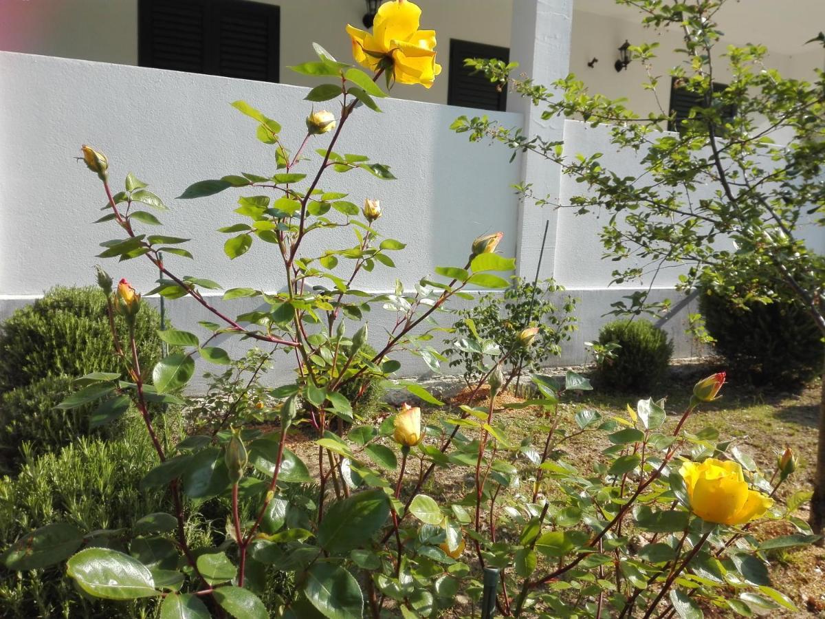 Kuca Za Odmor Maka Villa Kucice ภายนอก รูปภาพ