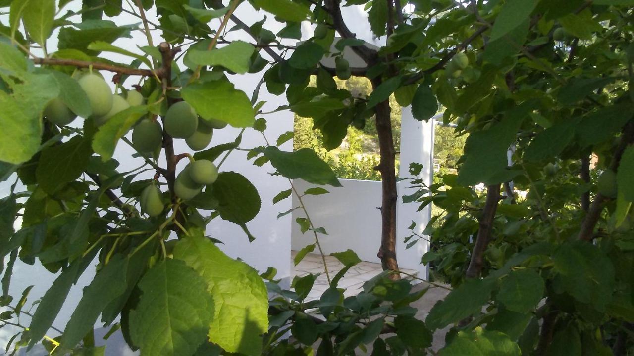 Kuca Za Odmor Maka Villa Kucice ภายนอก รูปภาพ