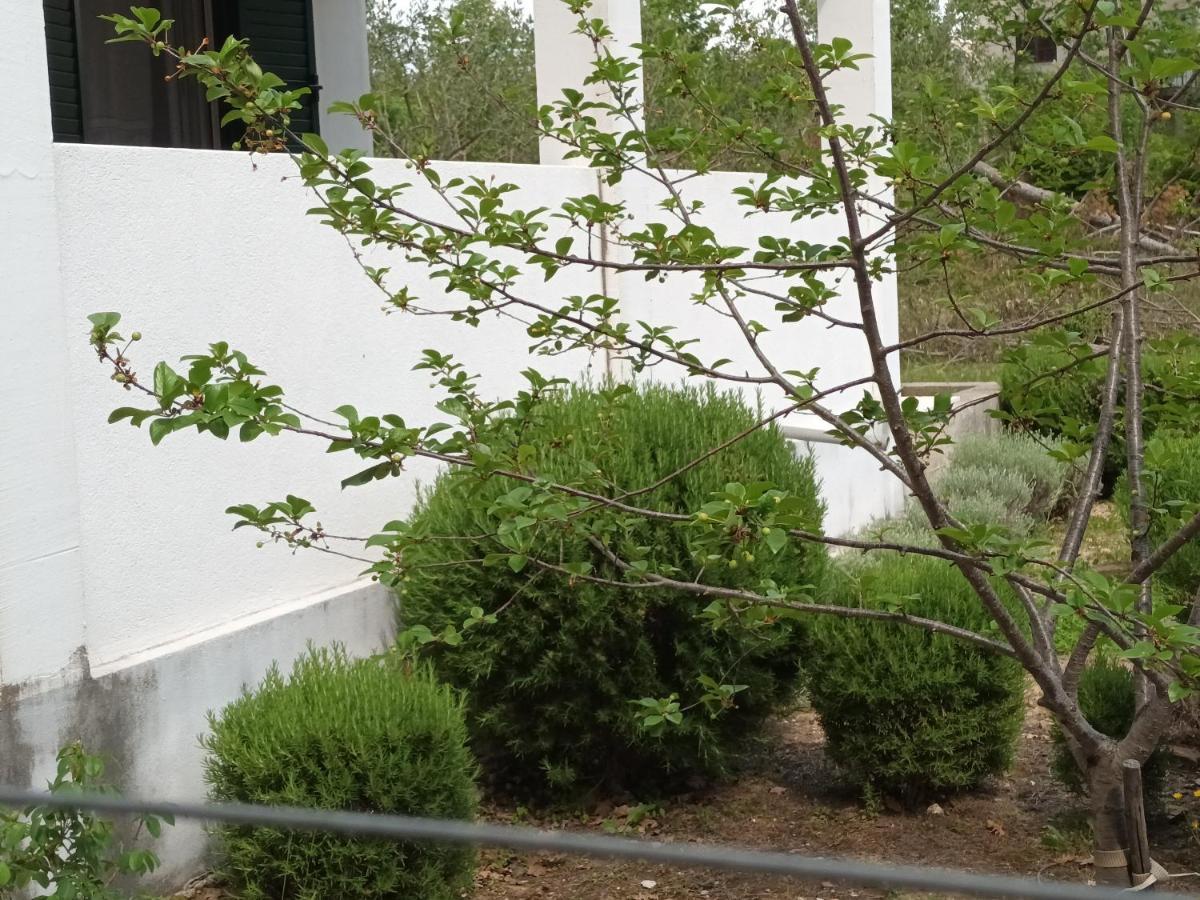 Kuca Za Odmor Maka Villa Kucice ภายนอก รูปภาพ